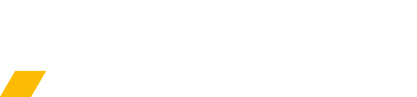 Copy of anvl-light-01 logo